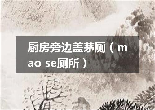 厨房旁边盖茅厕（mao se厕所）