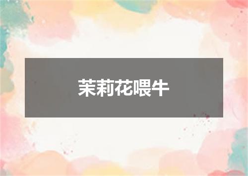 茉莉花喂牛