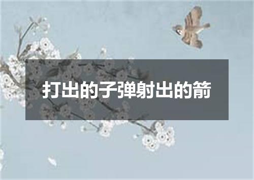 打出的子弹射出的箭