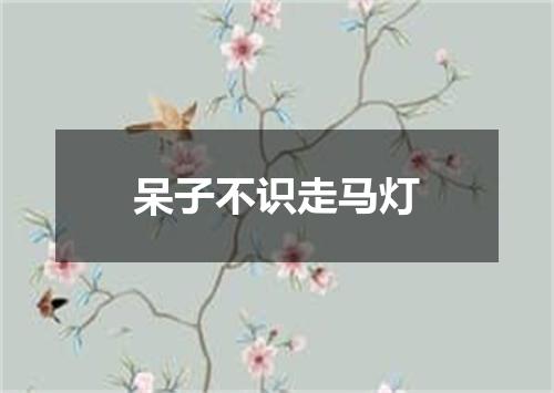 呆子不识走马灯