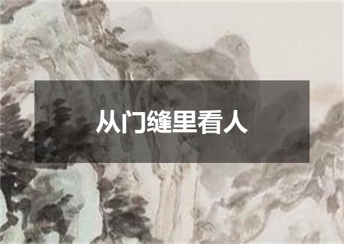 从门缝里看人