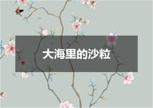 大海里的沙粒