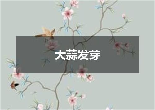 大蒜发芽