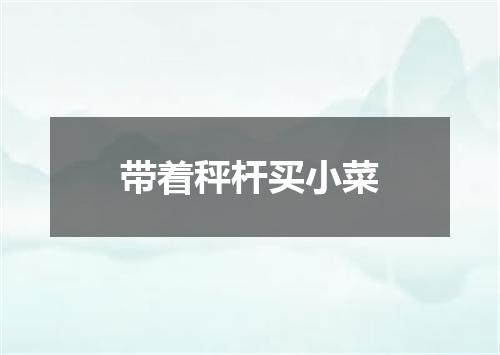 带着秤杆买小菜
