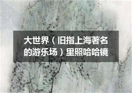 大世界（旧指上海著名的游乐场）里照哈哈镜