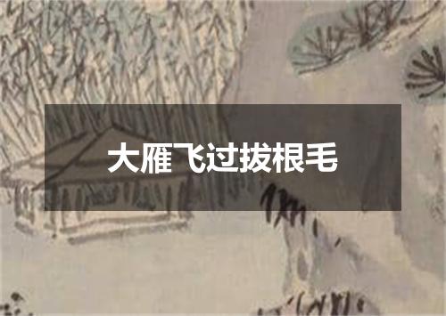 大雁飞过拔根毛