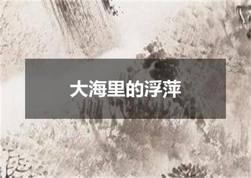 大海里的浮萍