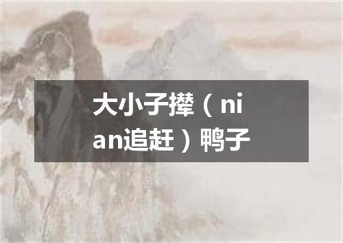 大小子撵（nian追赶）鸭子