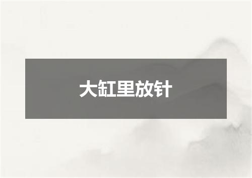 大缸里放针
