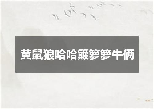 黄鼠狼哈哈簸箩箩牛俩