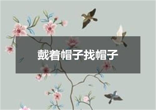 戴着帽子找帽子