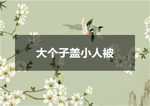 大个子盖小人被