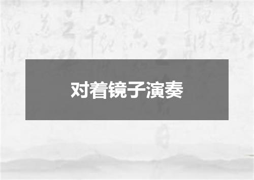 对着镜子演奏