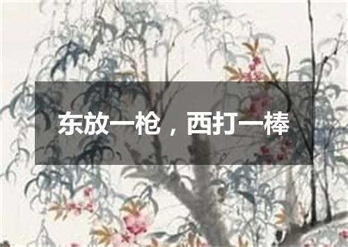 东放一枪，西打一棒