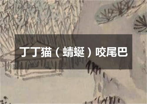 丁丁猫（蜻蜒）咬尾巴