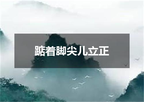 踮着脚尖儿立正
