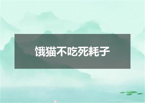 饿猫不吃死耗子