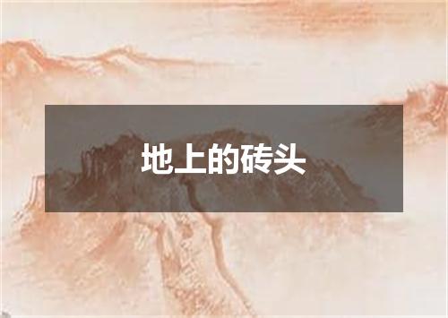 地上的砖头