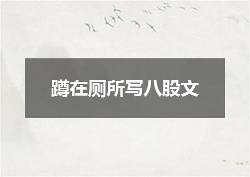 蹲在厕所写八股文