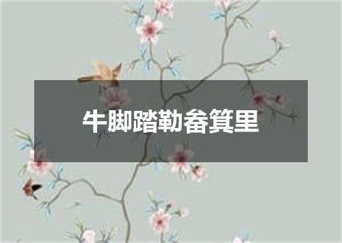 牛脚踏勒畚箕里
