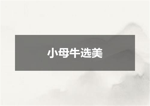 小母牛选美