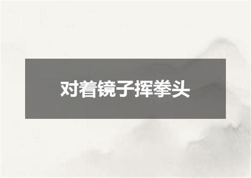 对着镜子挥拳头