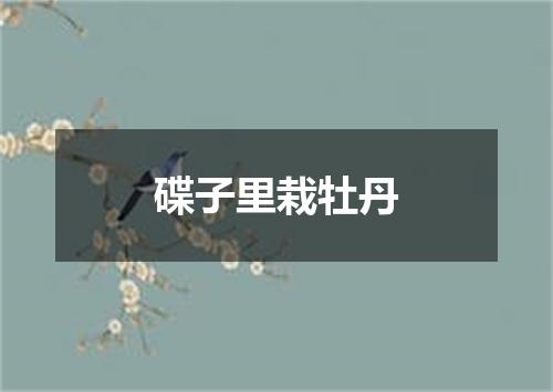 碟子里栽牡丹