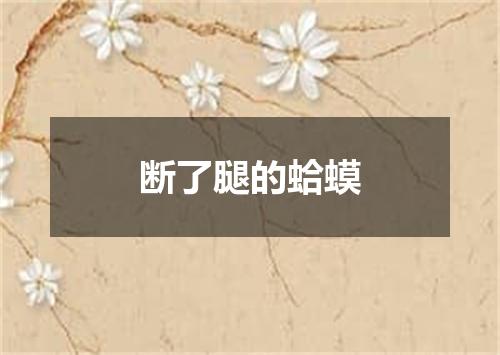 断了腿的蛤蟆