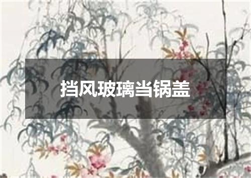 挡风玻璃当锅盖