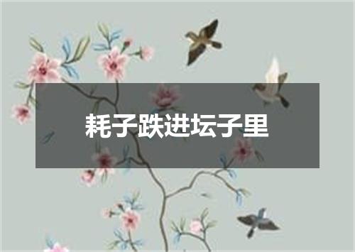 耗子跌进坛子里