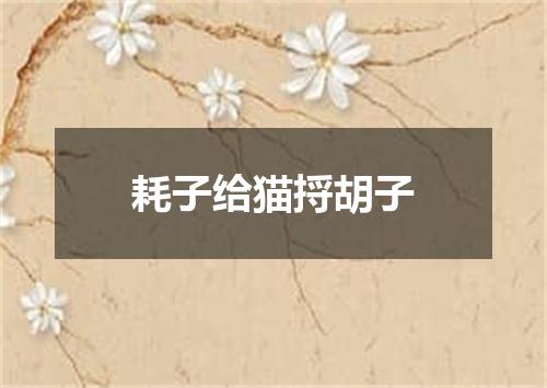 耗子给猫捋胡子