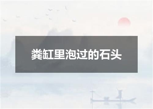 粪缸里泡过的石头