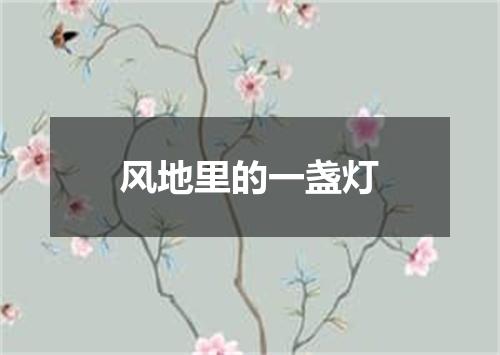 风地里的一盏灯
