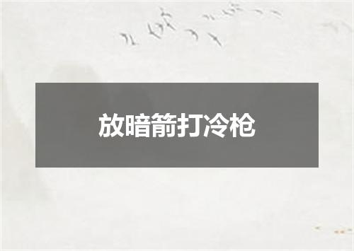 放暗箭打冷枪