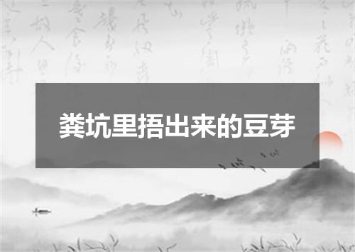 粪坑里捂出来的豆芽