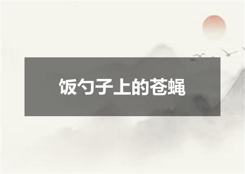 饭勺子上的苍蝇