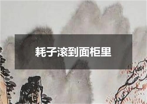 耗子滚到面柜里