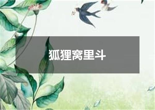 狐狸窝里斗