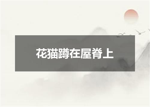 花猫蹲在屋脊上