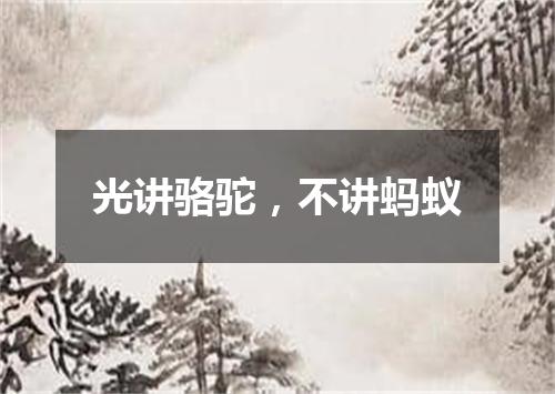 光讲骆驼，不讲蚂蚁