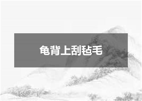 龟背上刮毡毛
