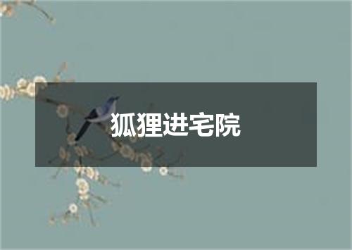 狐狸进宅院