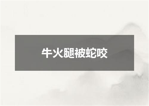 牛火腿被蛇咬