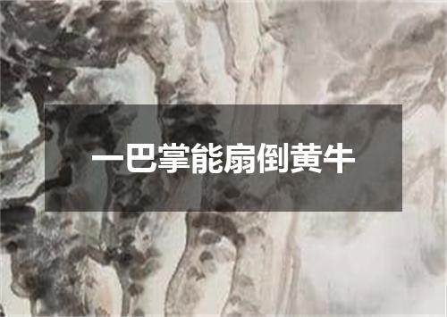 一巴掌能扇倒黄牛