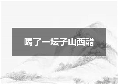 喝了一坛子山西醋