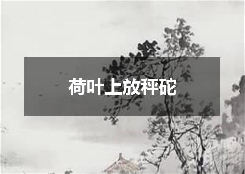 荷叶上放秤砣