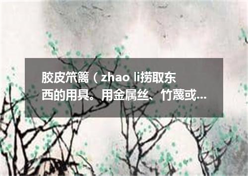 胶皮笊篱（zhao li捞取东西的用具。用金属丝、竹蔑或柳条等编成。有长柄）