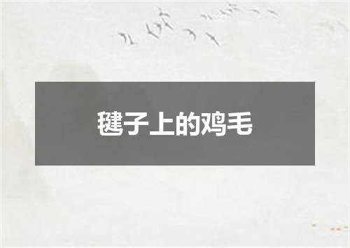 毽子上的鸡毛