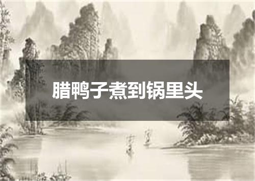 腊鸭子煮到锅里头