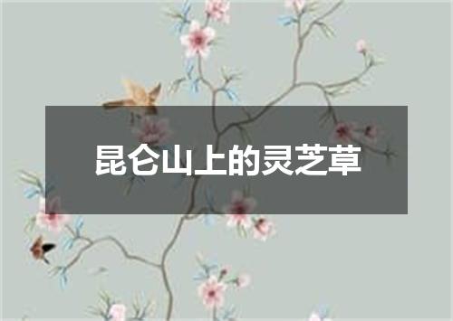 昆仑山上的灵芝草